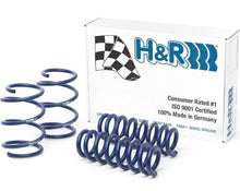 Load image into Gallery viewer, H&amp;R Springs
