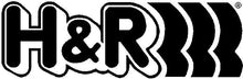 Load image into Gallery viewer, H&amp;R Springs
